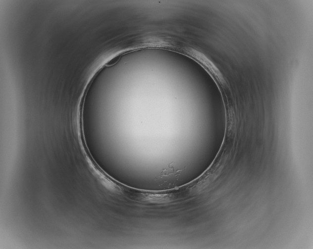 X0000112071439200908041225