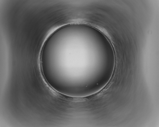 X0000112071440200908041225