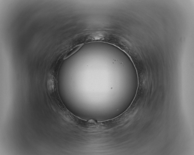 X0000112071442200908041224
