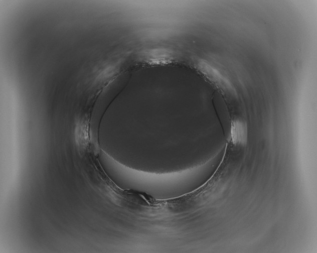 X0000112071444200908041224