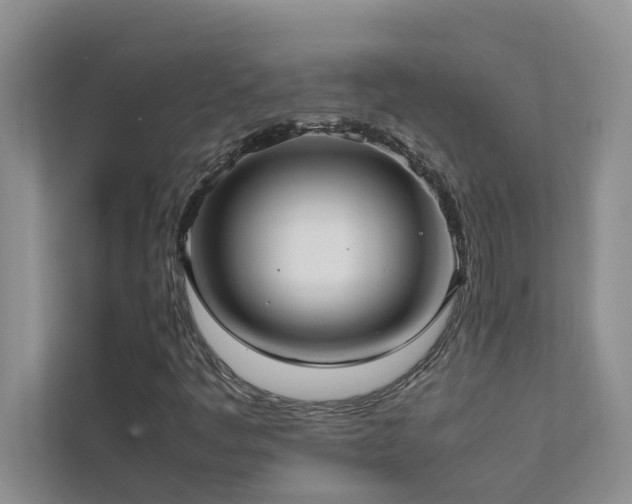 X0000112071445200908041224