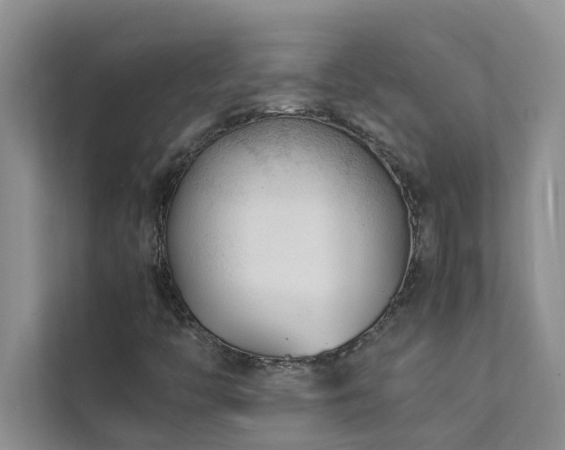 X0000112071446200908041224