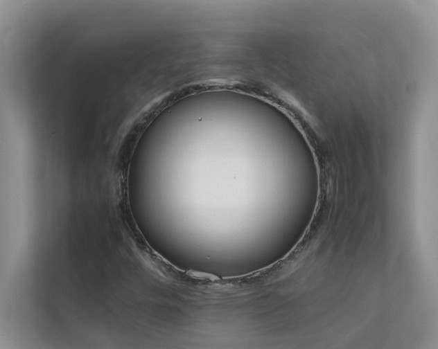X0000112071448200908041224