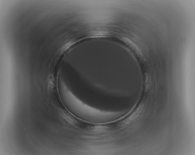 X0000112071449200908041224
