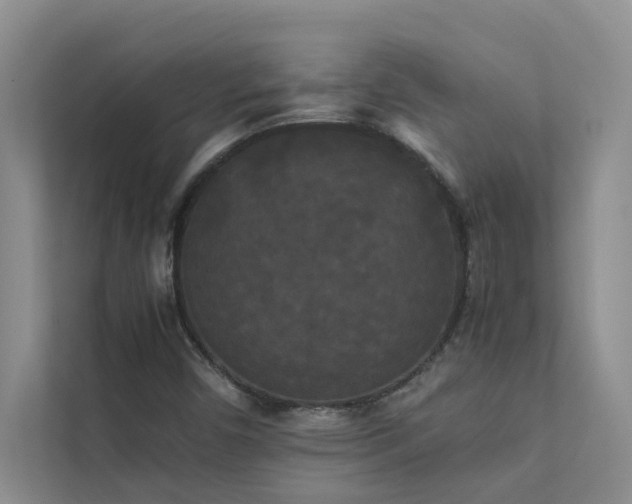 X0000112071450200908041224