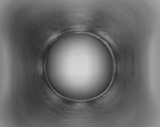 X0000112071451200908041224