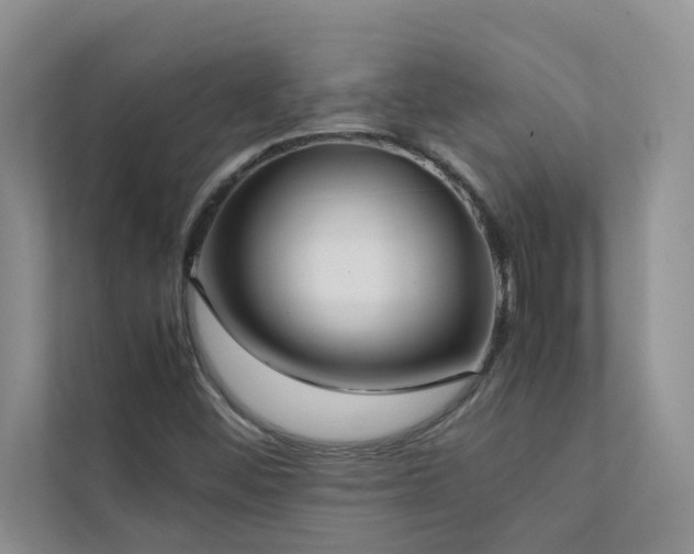 X0000112071452200908041224