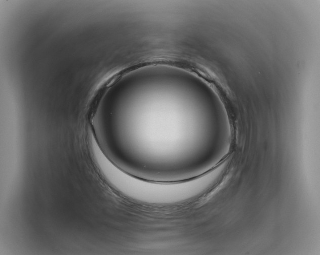 X0000112071453200908041224