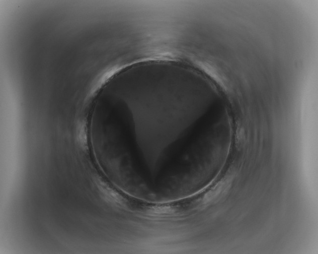 X0000112071455200908041224