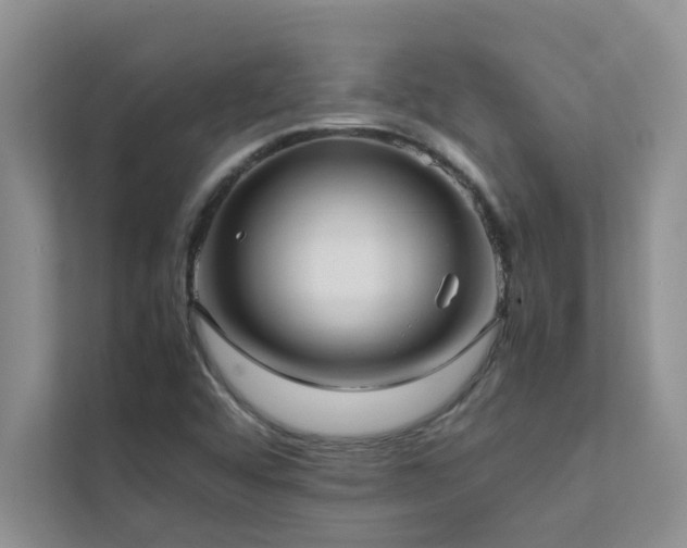 X0000112071456200908041224