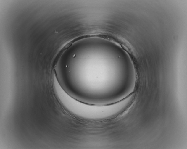 X0000112071457200908041224