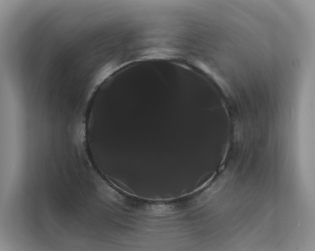 X0000112071459200908041224