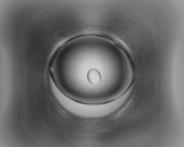 X0000112071461200908041224