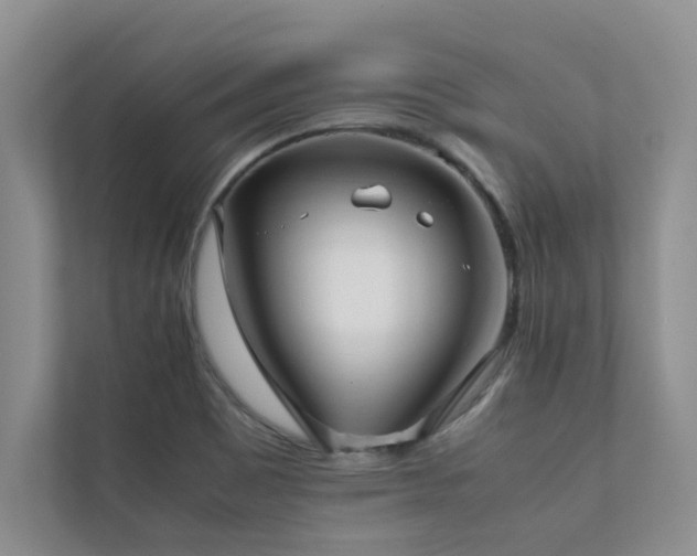 X0000112071465200908041224