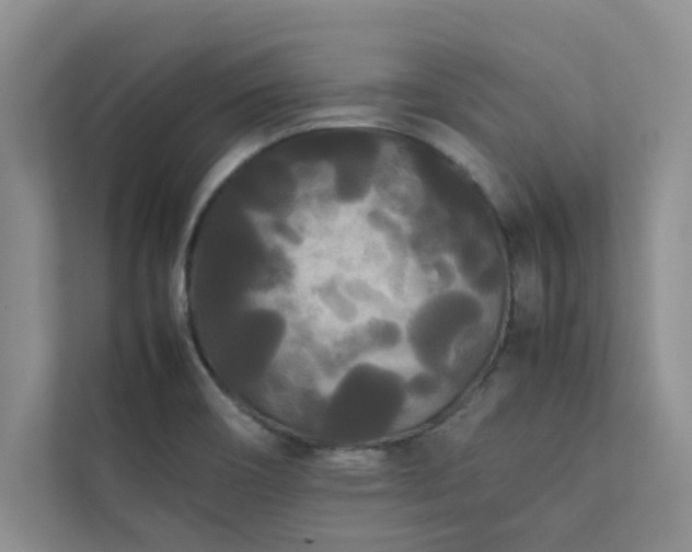 X0000112071466200908041224