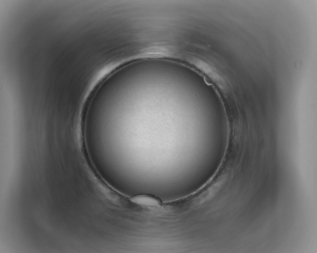 X0000112071469200908041224