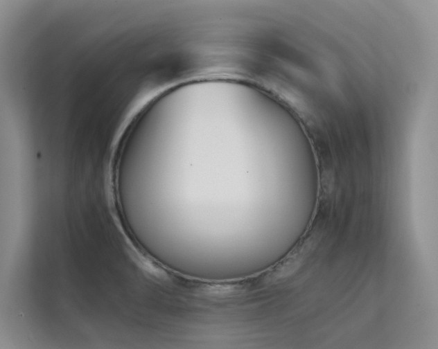X0000112071470200908041224