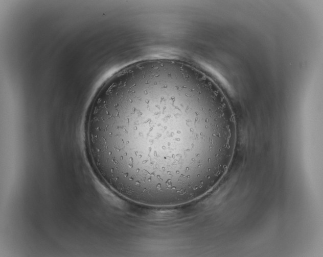 X0000112071471200908041224