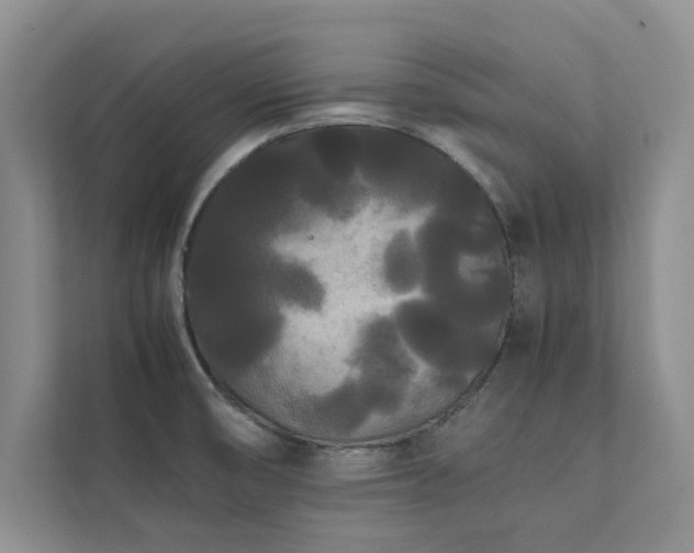 X0000112071474200908041224