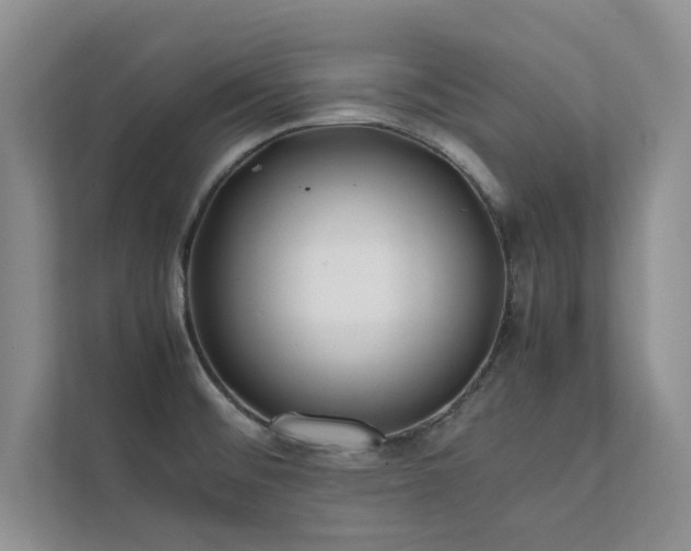 X0000112071476200908041224