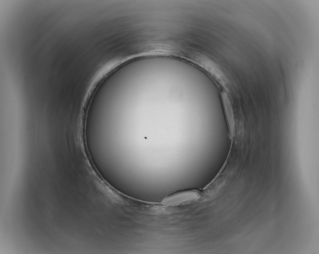 X0000112071480200908041224