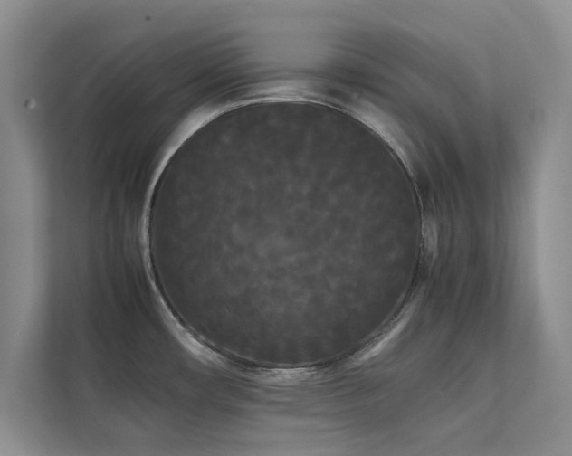 X0000112071482200908041224