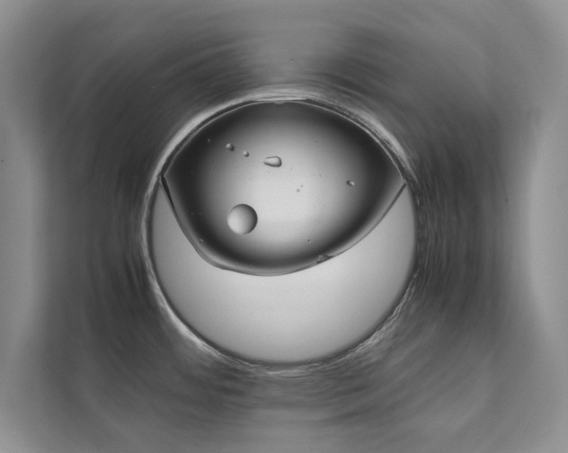 X0000112071484200908041224
