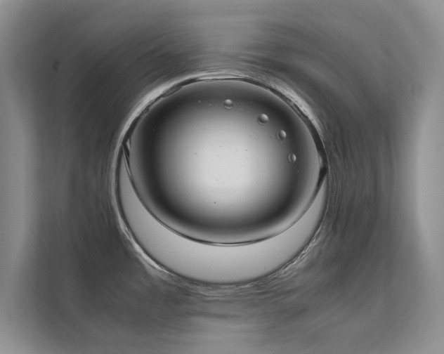 X0000112071485200908041224