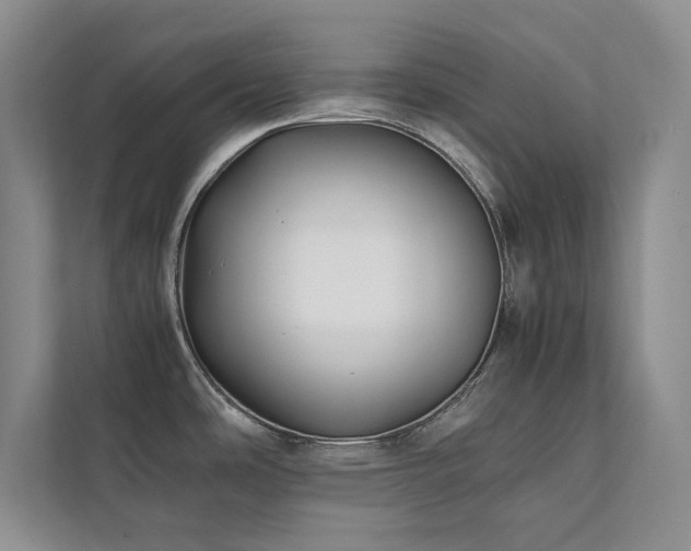 X0000112071486200908041224
