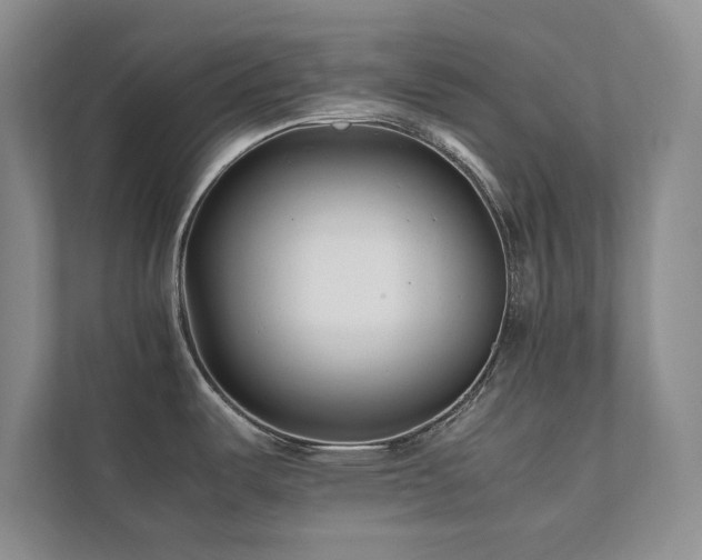 X0000112071487200908041224