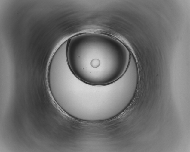 X0000112071488200908041224