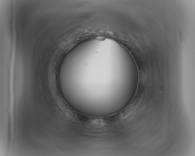 X0000112071489200908041223