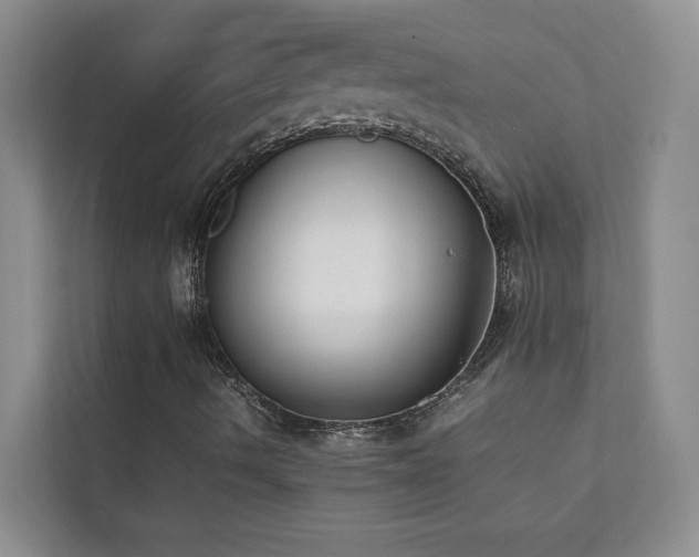 X0000112071490200908041223