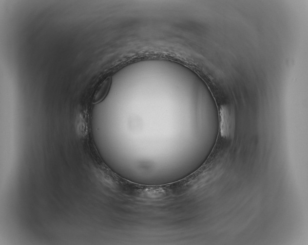 X0000112071491200908041223