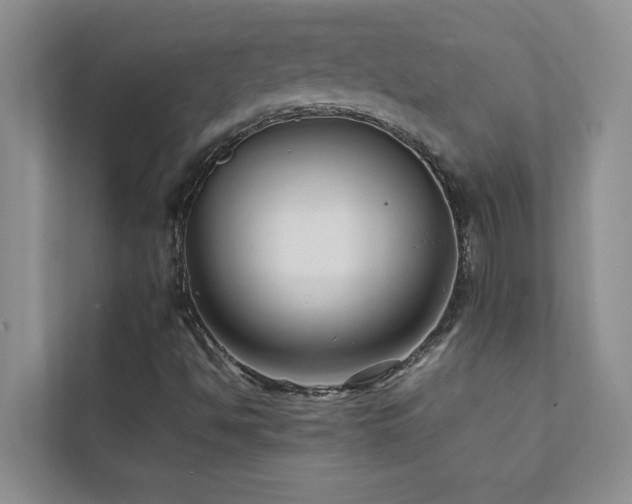 X0000112071494200908041223