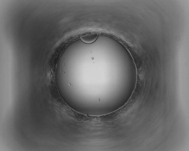 X0000112071495200908041223