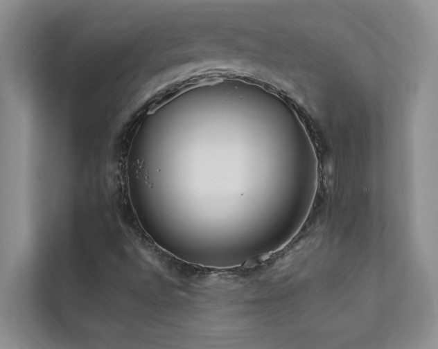 X0000112071496200908041223