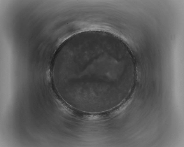X0000112071497200908041223