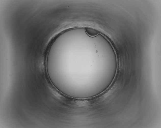 X0000112071498200908041223