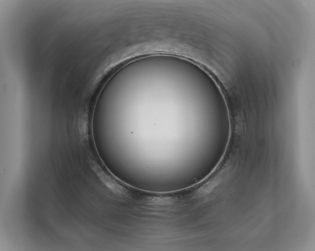 X0000112071499200908041223