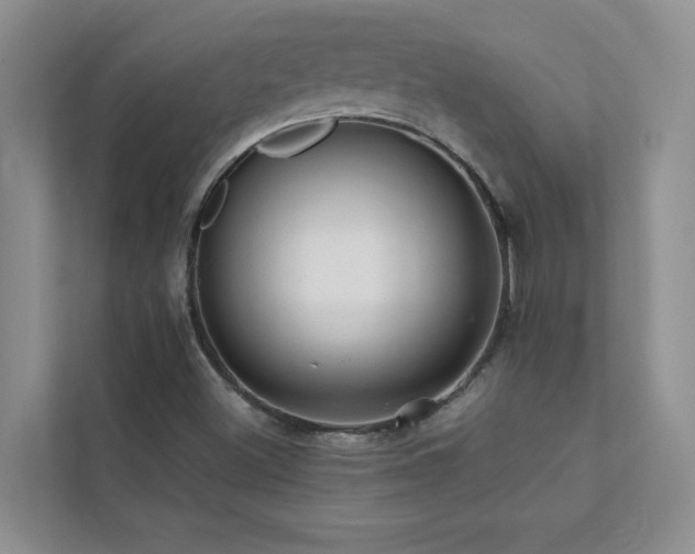 X0000112071500200908041223