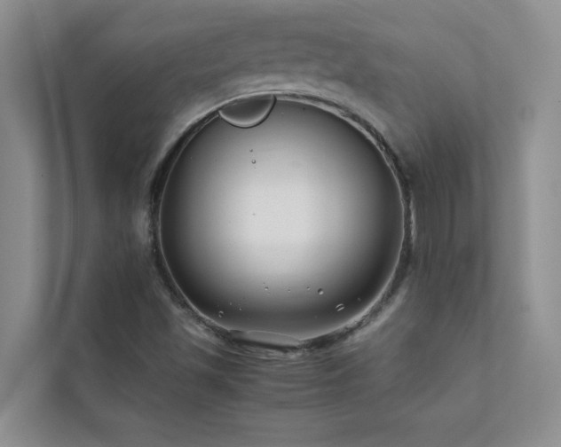 X0000112071501200908041223