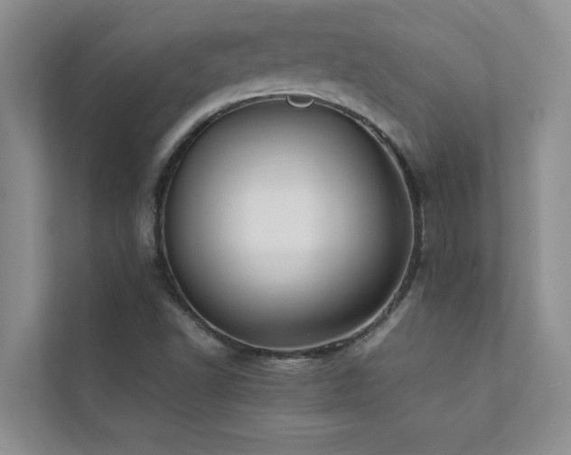 X0000112071502200908041223