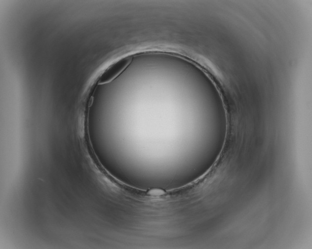 X0000112071504200908041223