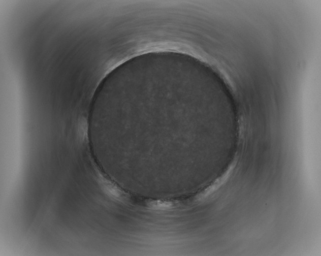 X0000112071505200908041223