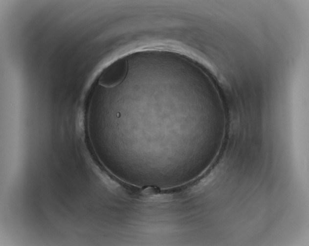 X0000112071506200908041223