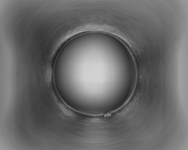 X0000112071507200908041223