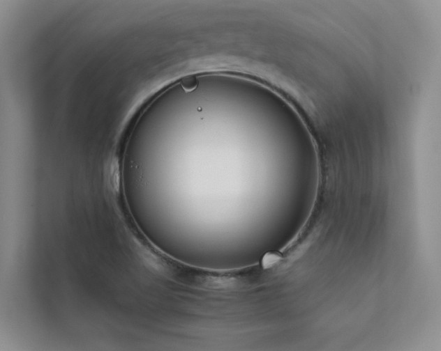 X0000112071509200908041223