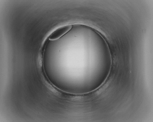 X0000112071510200908041223