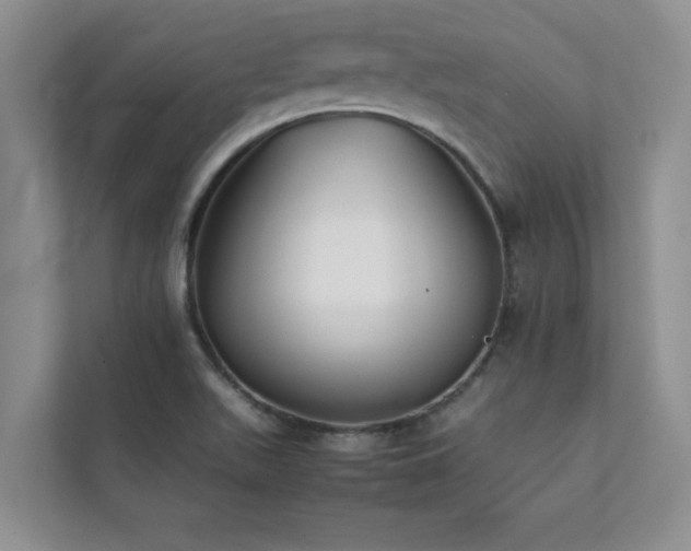 X0000112071511200908041223